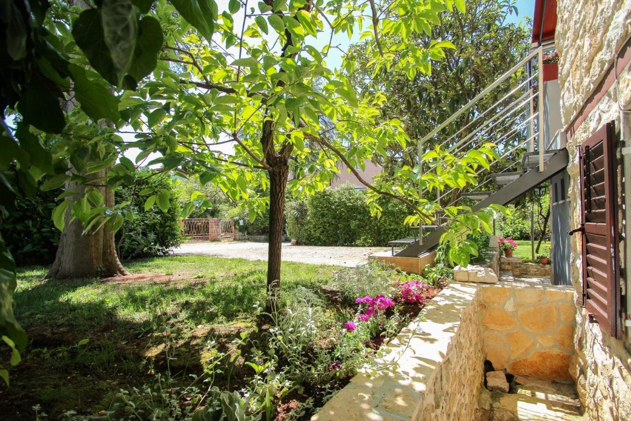 Carla Guest House Novigrad Istria Eksteriør bilde